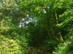 -樱桃山旅游景区