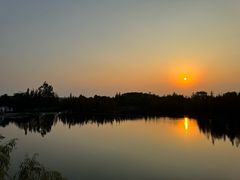 -白鹭湾湿地公园