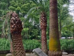 -苏州河梦清园环保主题公园