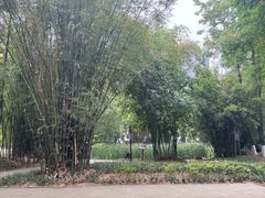 -塔子山公园