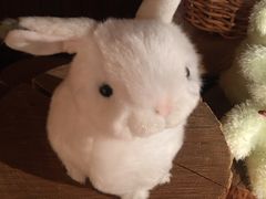 -小樽八音盒堂(手工制作体验馆店)