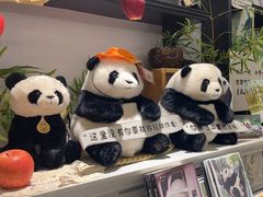 -轩客会(熊猫书店)