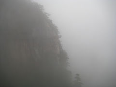 山间栈道-大明山自然探索公园