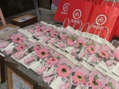 -海底捞火锅(星光不夜城店)
