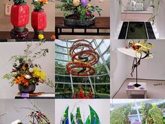 -深圳国际园林花卉博览园