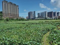 -龙环葡韵住宅式博物馆