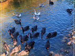 -长白岛森林公园