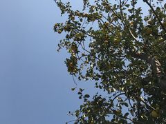 -嬉乐湾休闲旅游区