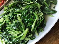 鸡毛菜-川外川(星海店)