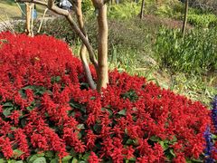 -云溪植物园