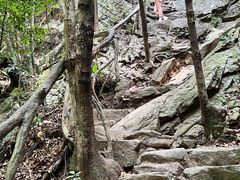 -梧桐山风景名胜区