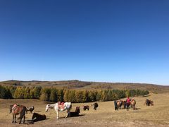 -塞罕坝国家级自然保护区