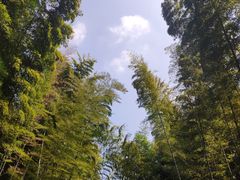 -同里国家湿地公园