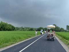 -良渚古城遗址公园