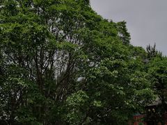 -大钟寺古钟博物馆