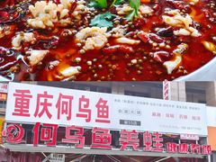 -重庆何乌鱼(南湖逸家店)