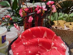 -超级胡毛肚火锅(茶子山中路店)