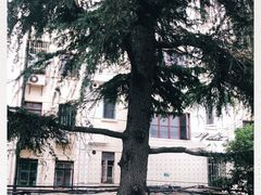 -高桥小香松糕