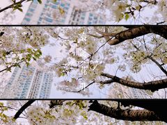 -苏州河梦清园环保主题公园