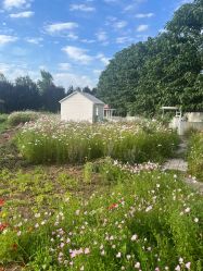 -DORA kids 朵拉儿童摄影花园店