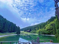 -武陵山森林公园