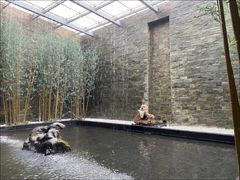 -天津海河悦榕庄·Lobby Lounge大堂吧