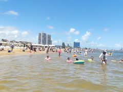-碧海金沙