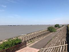 -上海滨江森林公园