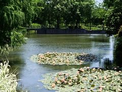 -上海辰山植物园