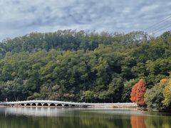 -深圳仙湖植物园