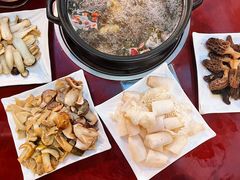 菌菇拼盘-蘑统田下·野生菌火锅