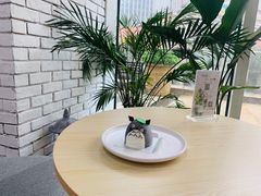 -风甜日暖·星座主题甜点(东二环泰禾店)