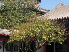 -宫事颐庭·老佛爷贵寿下午茶(颐和园店)