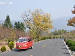 -塔川景区