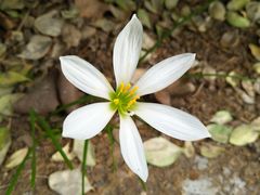 -郑州大学荷园二餐厅