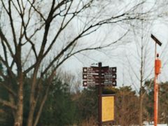 -北京西山国家森林公园