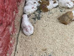 -上海大自然野生昆虫馆