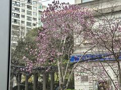 -上海来福士广场