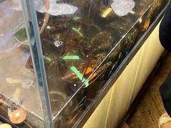 -雍和会海鲜姿造自助(湖东路店)