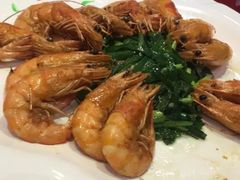 -金星大酒店(东街店)