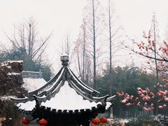 -水绘园