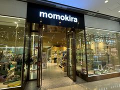 -momokira米努特·德文卷毛猫·棉花面纱犬