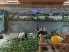 -西安秦岭野生动物园