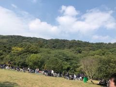 -龙寺生态园