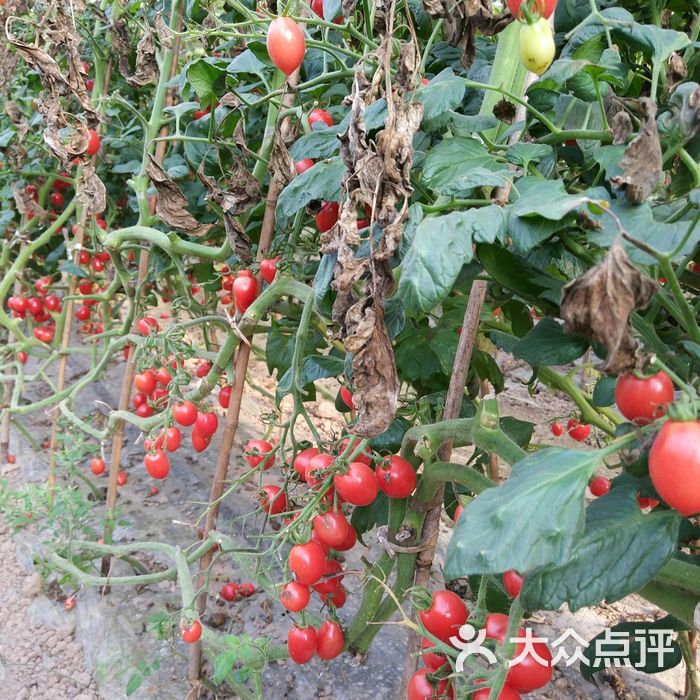 宝山湖生态农业园