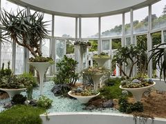-深圳仙湖植物园