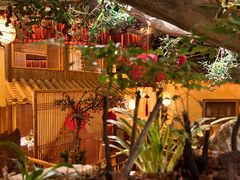 -叶叶菩提·晋福宫