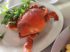 -越海渔村