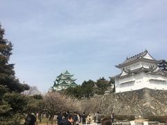 -名古屋城