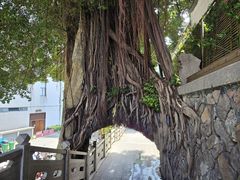 -乌山风景区